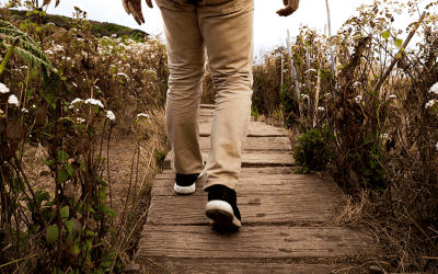 Qu’est-ce que l’intuition ?