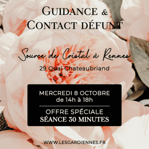 Journée spéciale voyance à Rennes_Journée guidance à Rennes_Centre-de-développement-personnel-&-spirituel_Les-gardiennes_8 Octobre-2025_Michèle Meillac médium à Rennes_Médium en Bretagne