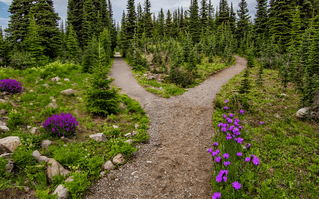 Pourquoi faire appel à une guidance en période de crise ?